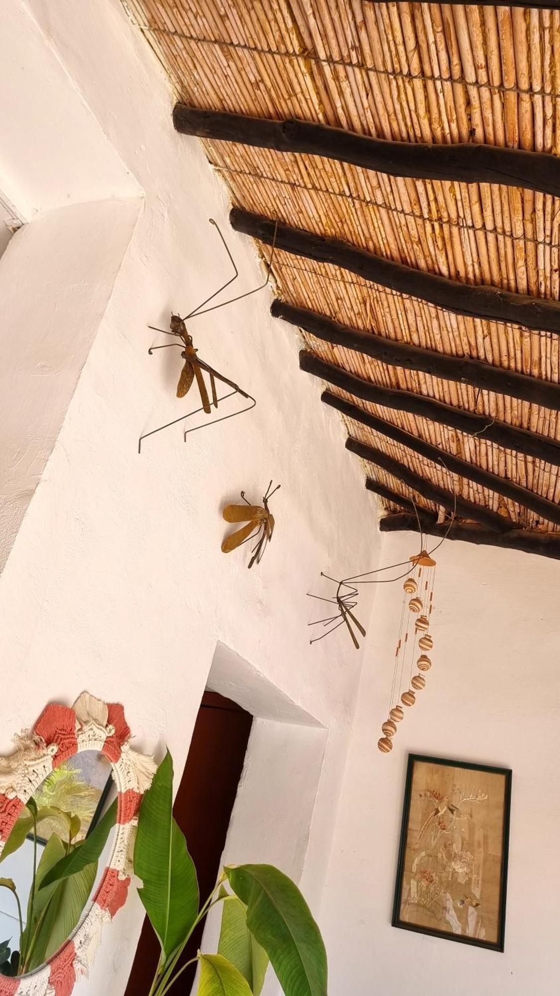 La Casona Espacio Bonito Запатока Екстериор снимка
